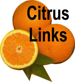 Citrus links