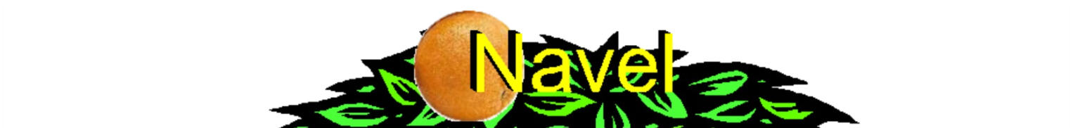 about Navels
